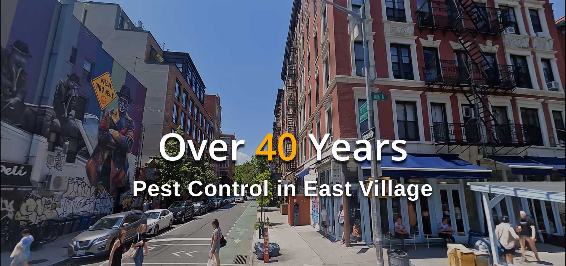 Termiante control has been performing pest control in NYC for over 40 years.  A name you can trust.